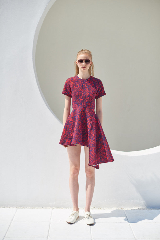 ZX021627 : DRESS